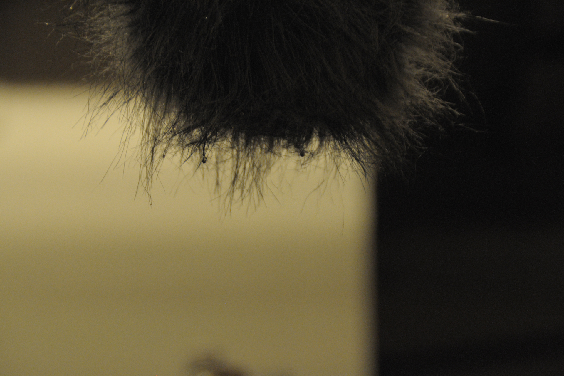 2021-01-26 Gurgeln (Performance) (Audio, Foto & Video)